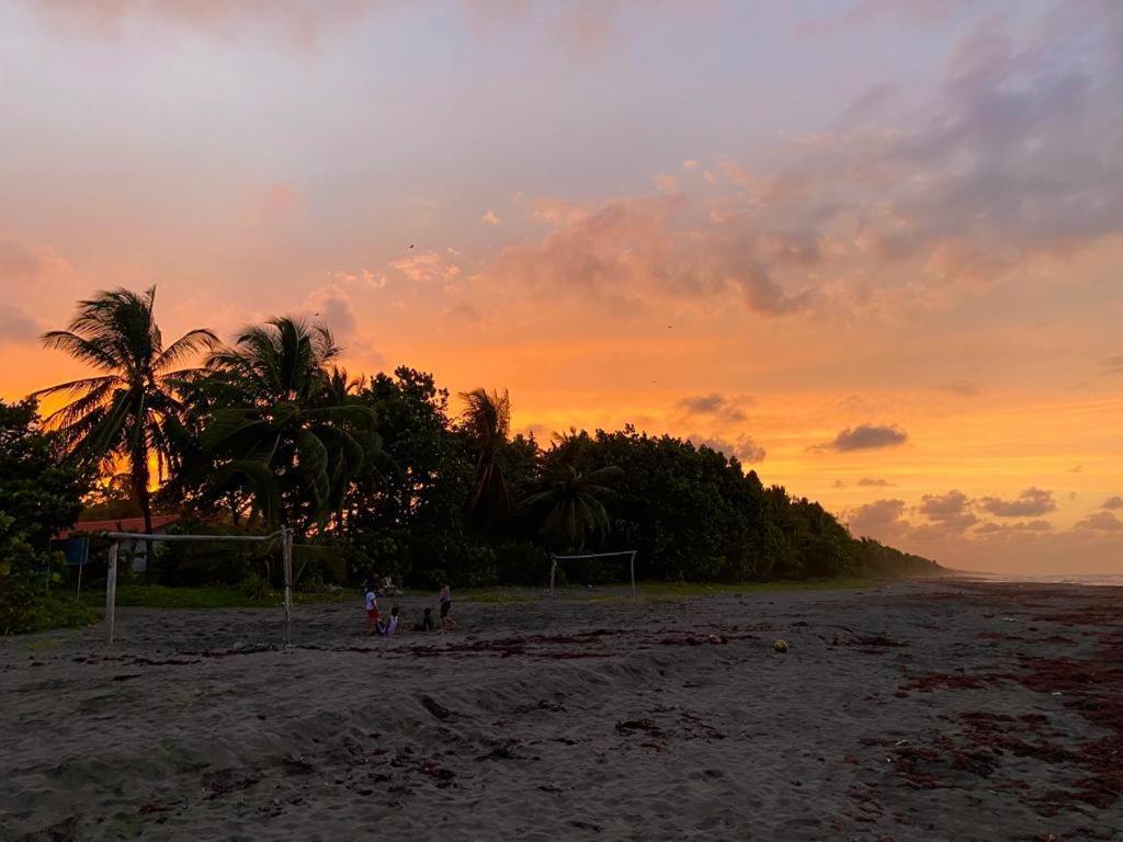 El Hostel Del Patio Tortuguero Kültér fotó